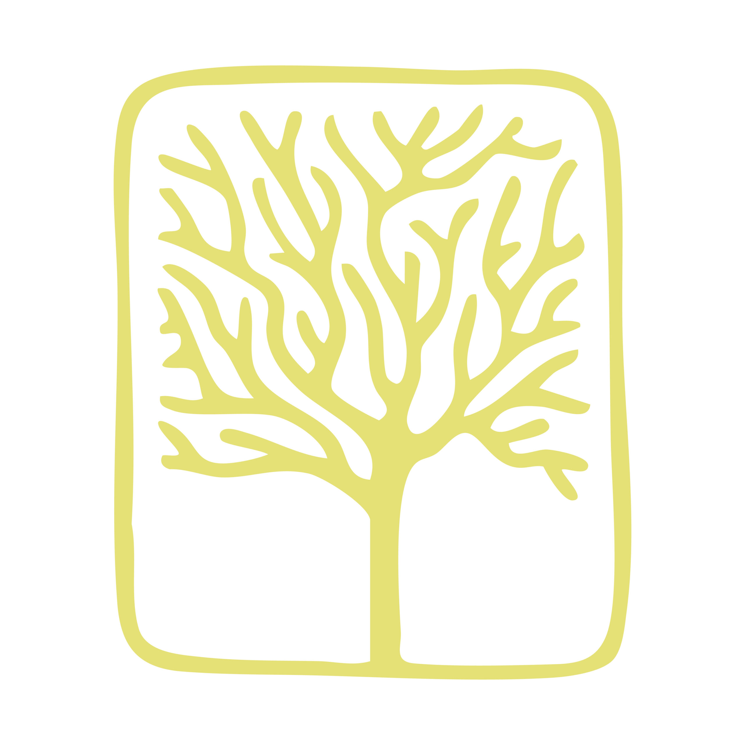 Les olives bio de Cantalauze